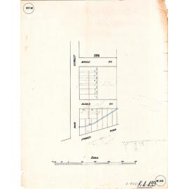 Reis Street property owners, Woolloongabba - 1916