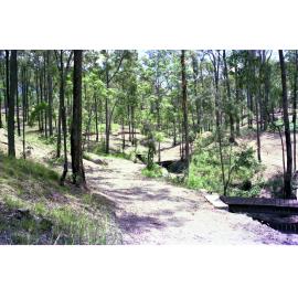 Walking paths in Mt Coot-Tha Botanic Gardens - 1976