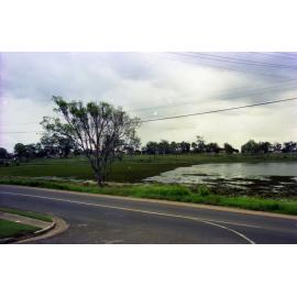 Aquatic weeds in wetland on Upper Brookfield Road, Brookfield - 1976
