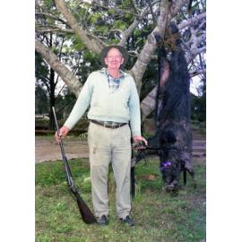 Feral pig shot by water supply maintenance staff member Bill Fleeman at Enoggera Reservoir - 1976