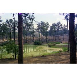 Landscape of pond at Mt Coot-Tha with tropical dome in the background - 1977