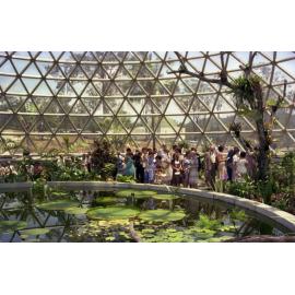 Crowds at opening of the Tropical Dome, Mt. Coot-Tha - 1977