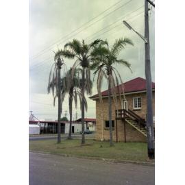 6 West Avenue, Wynnum - 1980