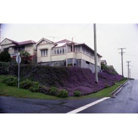 House with sweeping purple flowers on corner of Colston Road and Carberry Street, Grange - 1981