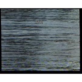 Tales of Transition - New Farm documentary - 2000