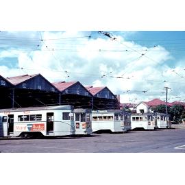 Trams at Annerley Depot, Ipswich Road - 1968