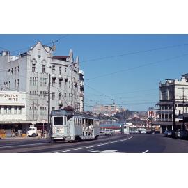 Tram No. 309 at Petrie Bight - 1968