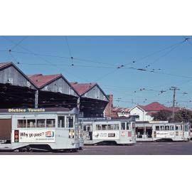 Tram fleet with No. 367, No. 311, No. 368, and No. 366 at Annerley depot - 1968