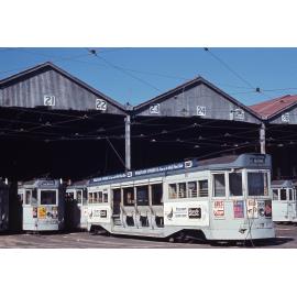 Trams No. 368 and No. 372 at Annerley depot, Ipswich Road - 1968