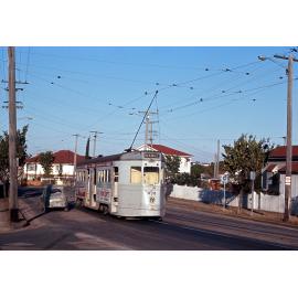 Tram No. 438 on Waterworks Road, Ashgrove - 1968