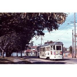 Tram No. 345 at New Farm Park terminus with ferry terminal - 1968