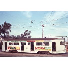 Tram No. 534 in Bardon - 1968
