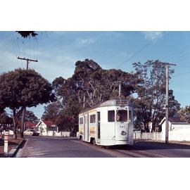 Tram No. 545 on Simpsons Road, Bardon - 1968