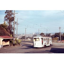Tram No. 460 on Kaye Street, Bardon - 1968