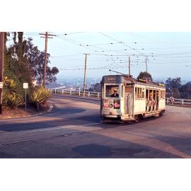 Tram No.  302 on Kaye Street, Bardon - 1968