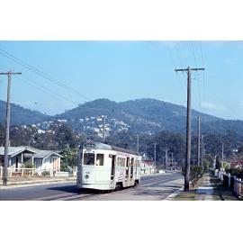 Tram No. 441 on Simpsons Road or Chiswick Road, Bardon - 1968