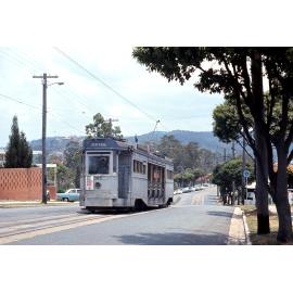 Tram No. 385 on Chiswick Road, Bardon - 1968