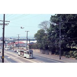 Tram No. 378 on Bowen Bridge Road, Bowen Hills - 1968