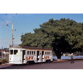 Tram No. 438 at terminus at corner of Orleigh Street and Hoogley Street, West End - 1969