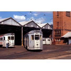 Trams No. 554, No. 523, No. 480 and No 528 at Annerley depot - 1968