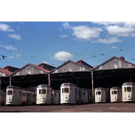 Trams No. 498, No. 441, No. 440, No. 427, No. 445 and No. 502 at Annerley depot - 1969