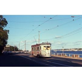 Tram No. 554 on Kingsford Smith Drive, Hamilton - 1969