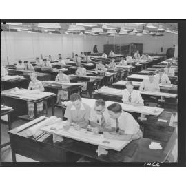 Council Staff Drafting Office City Hall - 1950