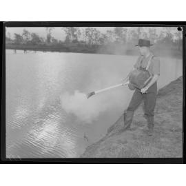 Man turning crank on chest mounted DDT equipment for mosquito spraying at Banyo - 1949