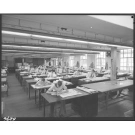 Design Office City Hall, draughtsmen at work - 1954