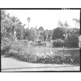 Pond at City Botanic Gardens looking towards Queensland Parliament, Brisbane City - 1959
