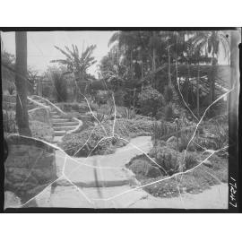 Paths and greenery at City Botanic Gardens, Brisbane City - 1961