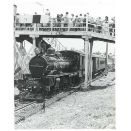 Steam train arrving at Manly Station to commemorate Manly's centenary - 1982