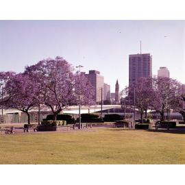 Victoria Bridge and city flanked by jacarandas from South Brisbane Square - 1976