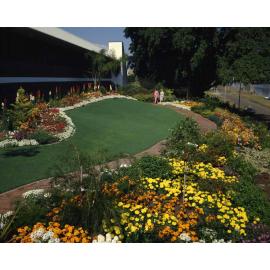 Courier Mail Gardens Competition Entrant - Riverside Drive - West End - 1981