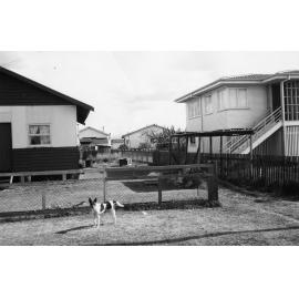 Houses in Bald Hills c1965
