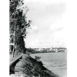 Views of Coronation Drive - 1949