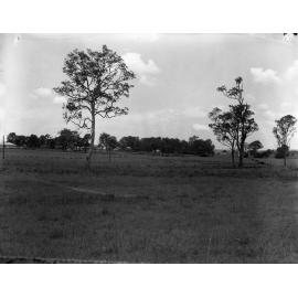 Dunlop Park - Oxley Road - Corinda - 1959